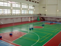 聚氨酯(PU)球场地坪